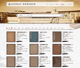 河南中醫藥大學省級中醫藥古籍數字圖書館